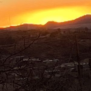 Meet your Posher, Lorraine